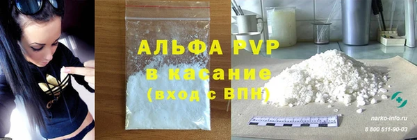 кокс Михайлов