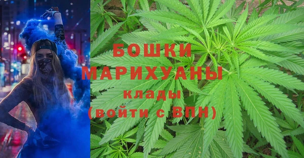 стафф Медногорск