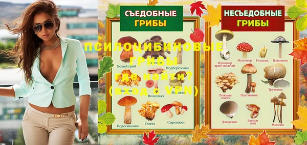кокс Михайлов