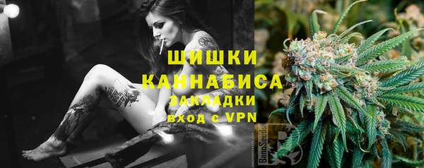 стафф Медногорск