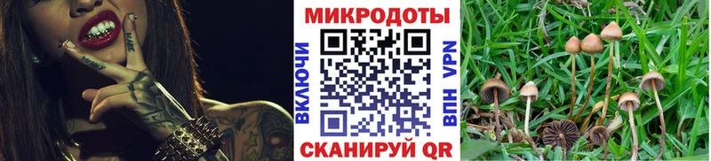 Псилоцибиновые грибы GOLDEN TEACHER  Емва 